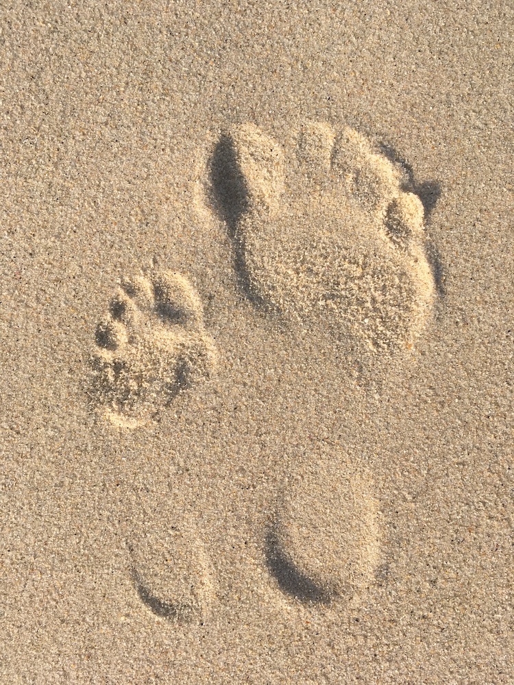 footprint pic
